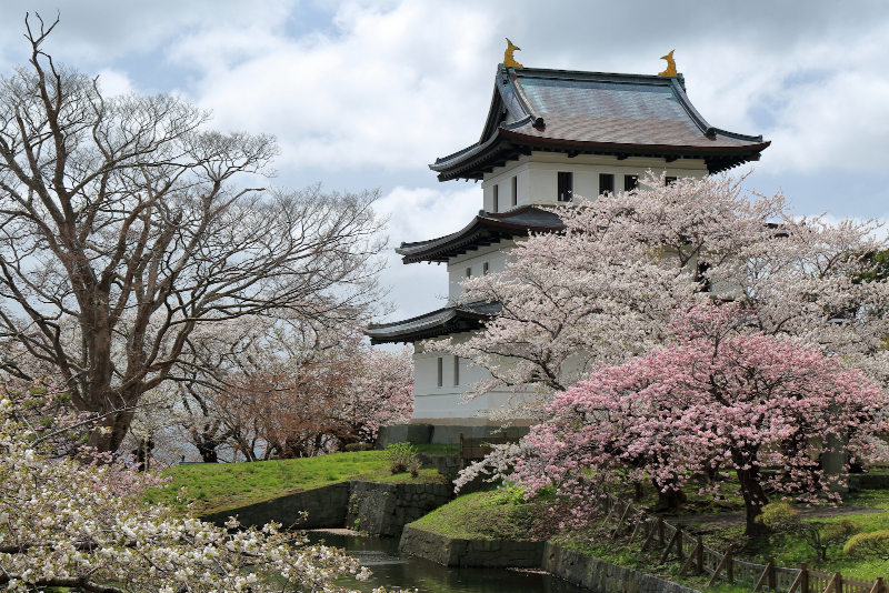 松前城　モネ風